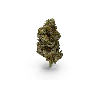 Sticky Queen 2