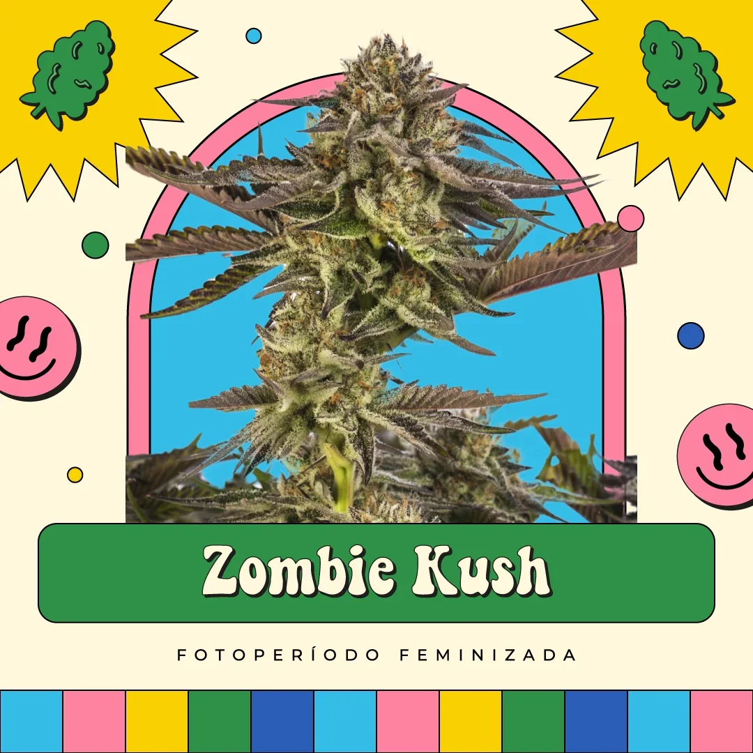 Zombie Kush