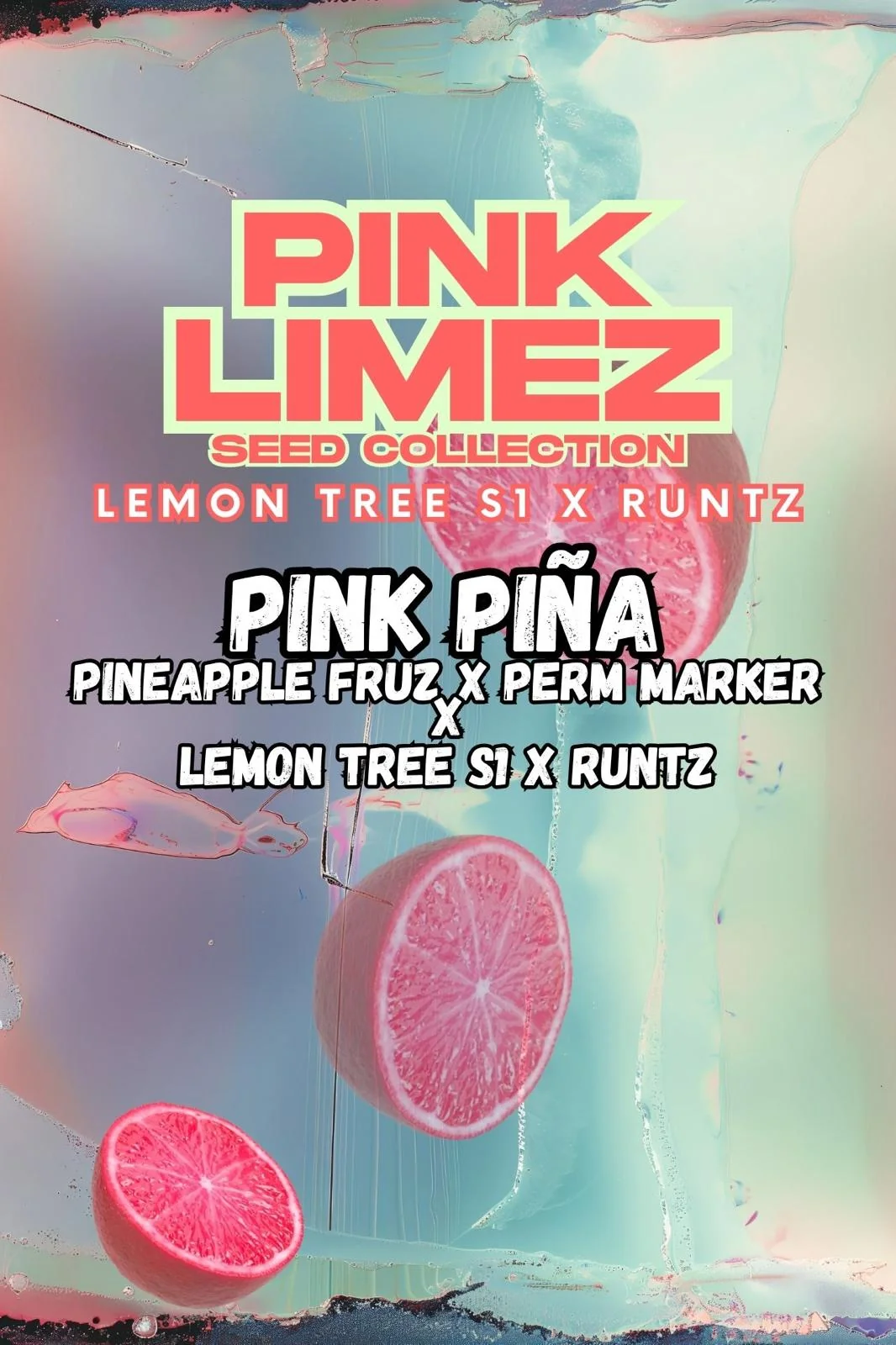 Pink Pina