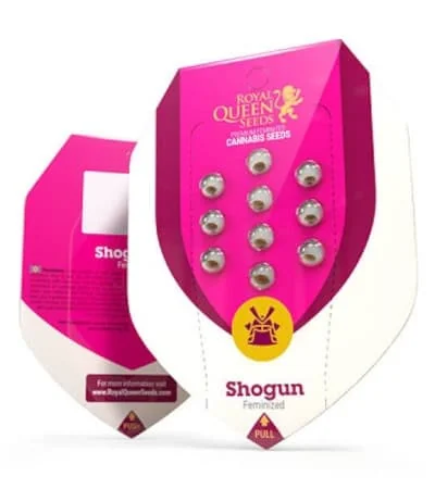 Shogun 4