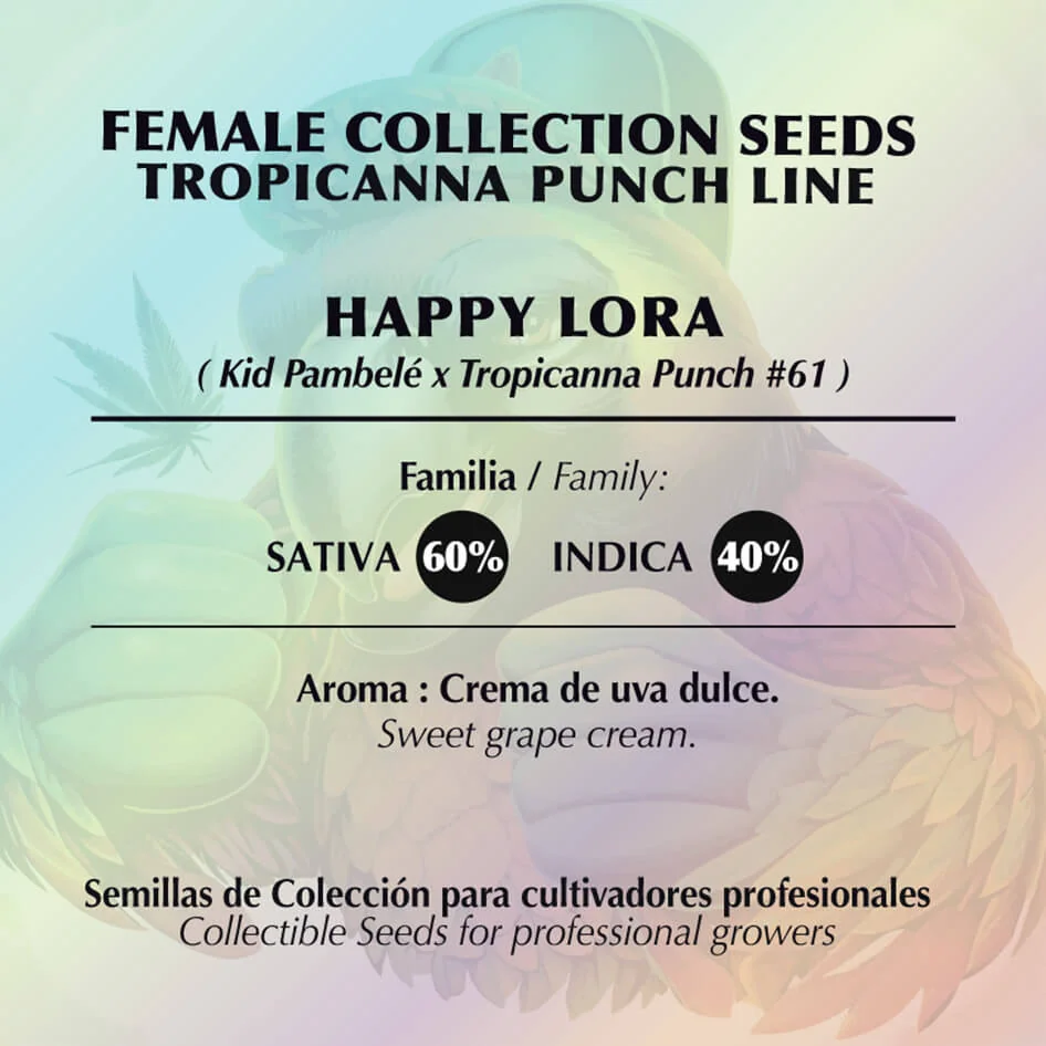 Happy Lora 2