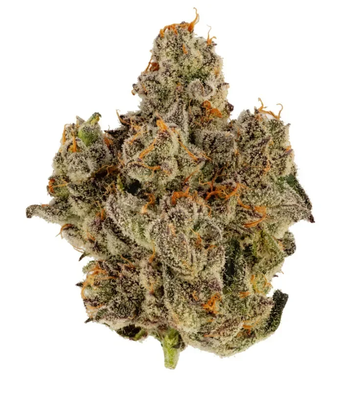Orange Diesel