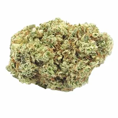 Gorilla Glue 4 S1 2