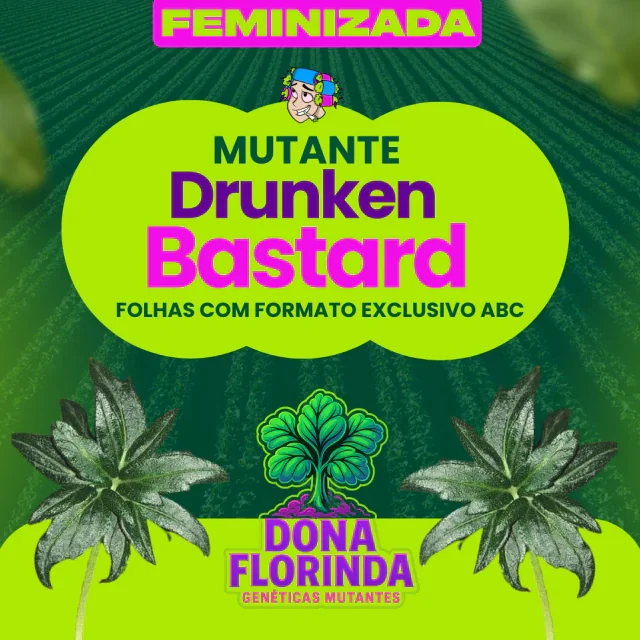 Mutante Freakshow F8 2