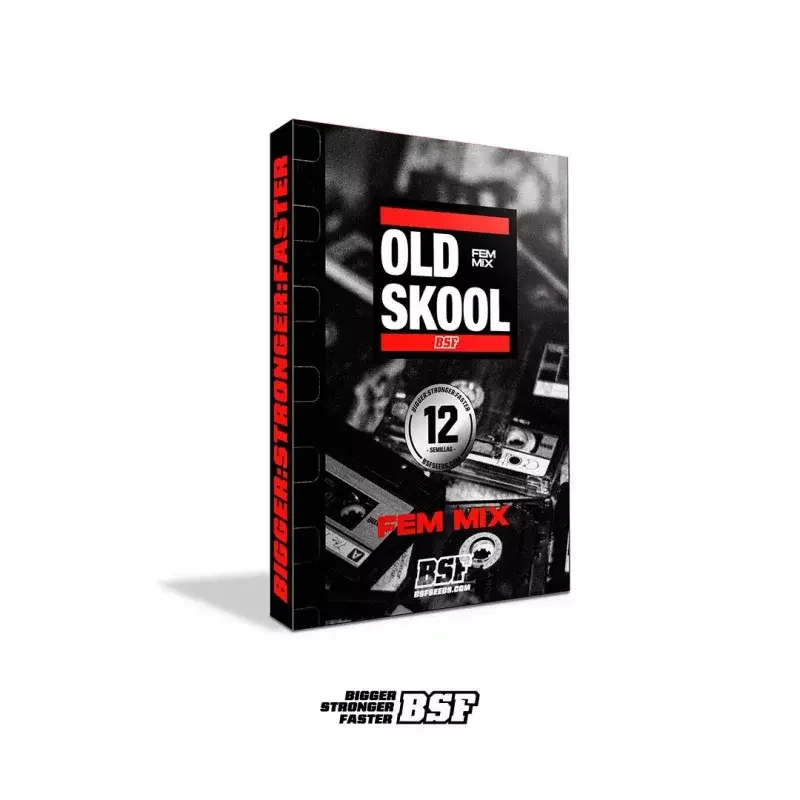 Old Skool Mix 4