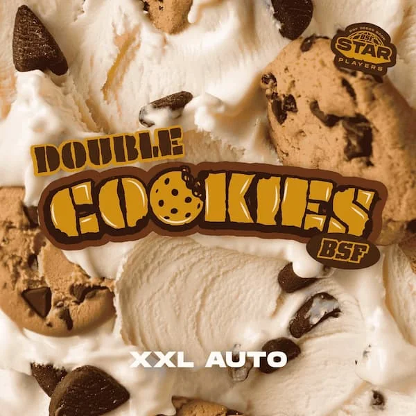Double Cookies