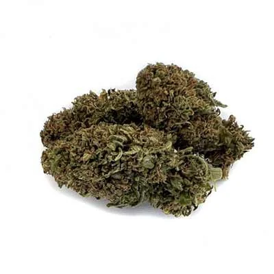 Candy Breath 2