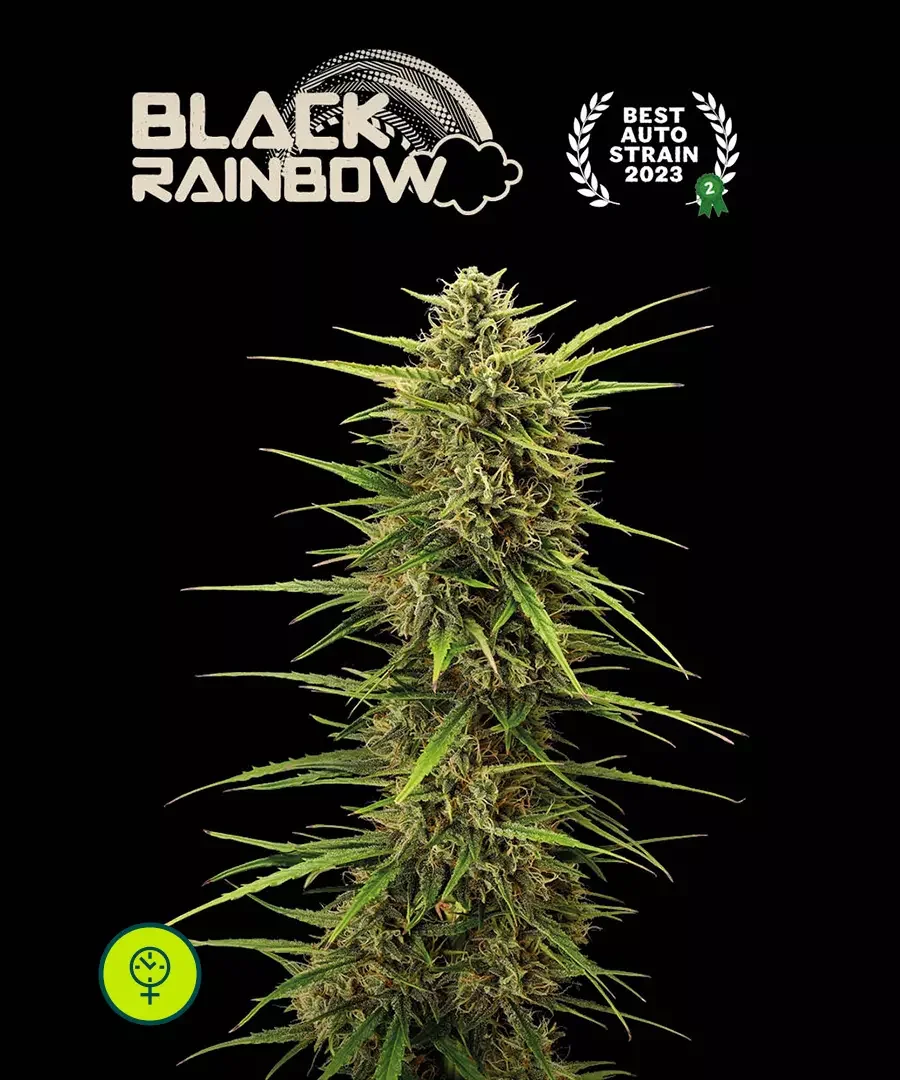 Black Rainbow