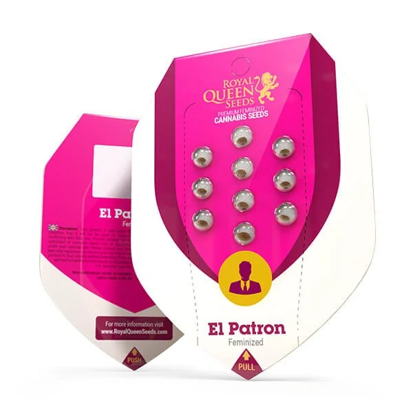 El Patron 2
