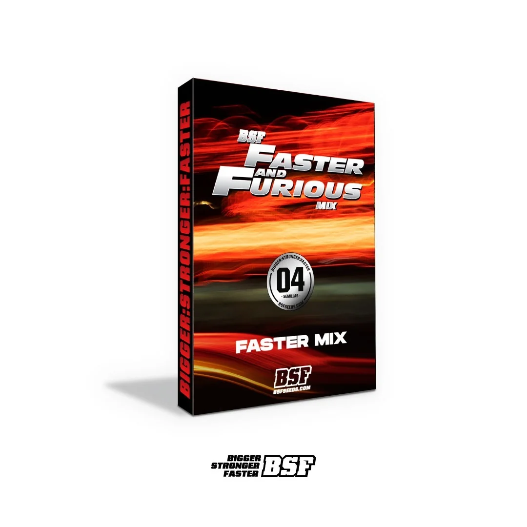 Faster And Furious 3