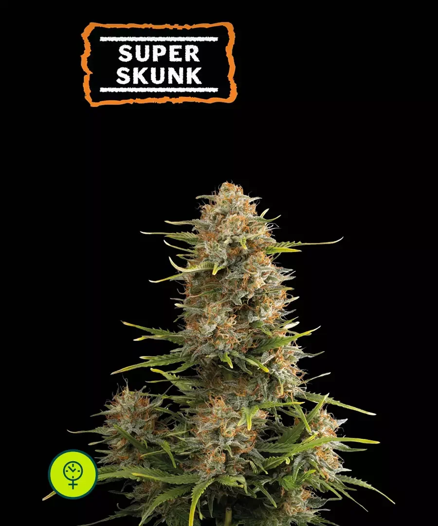 Super Skunk