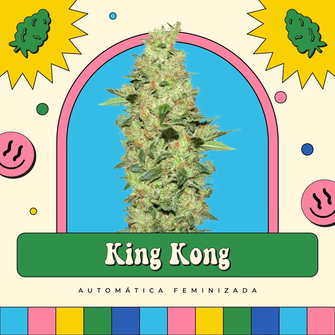 King Kong