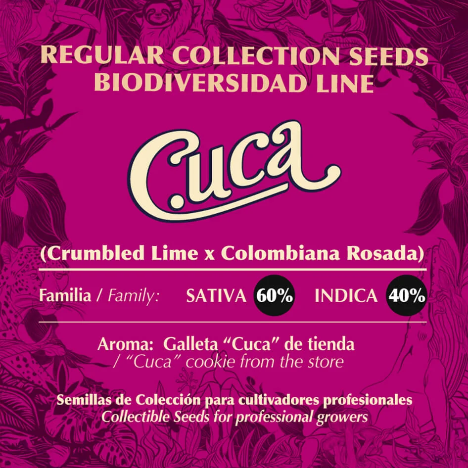Cuca 2