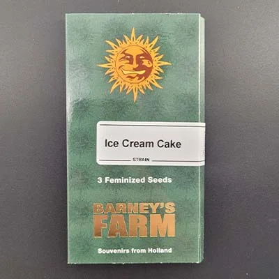Ice Cream Cake