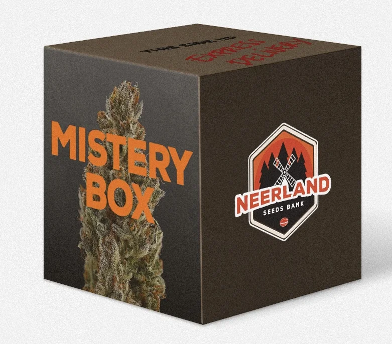 Especial Mistery Box com a 25 seeds