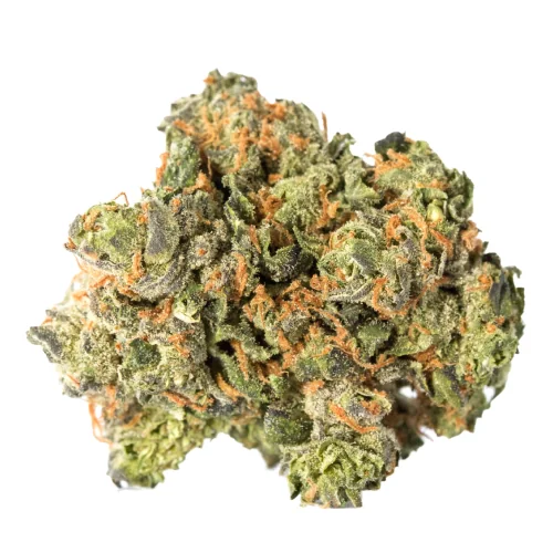Tropic Punch