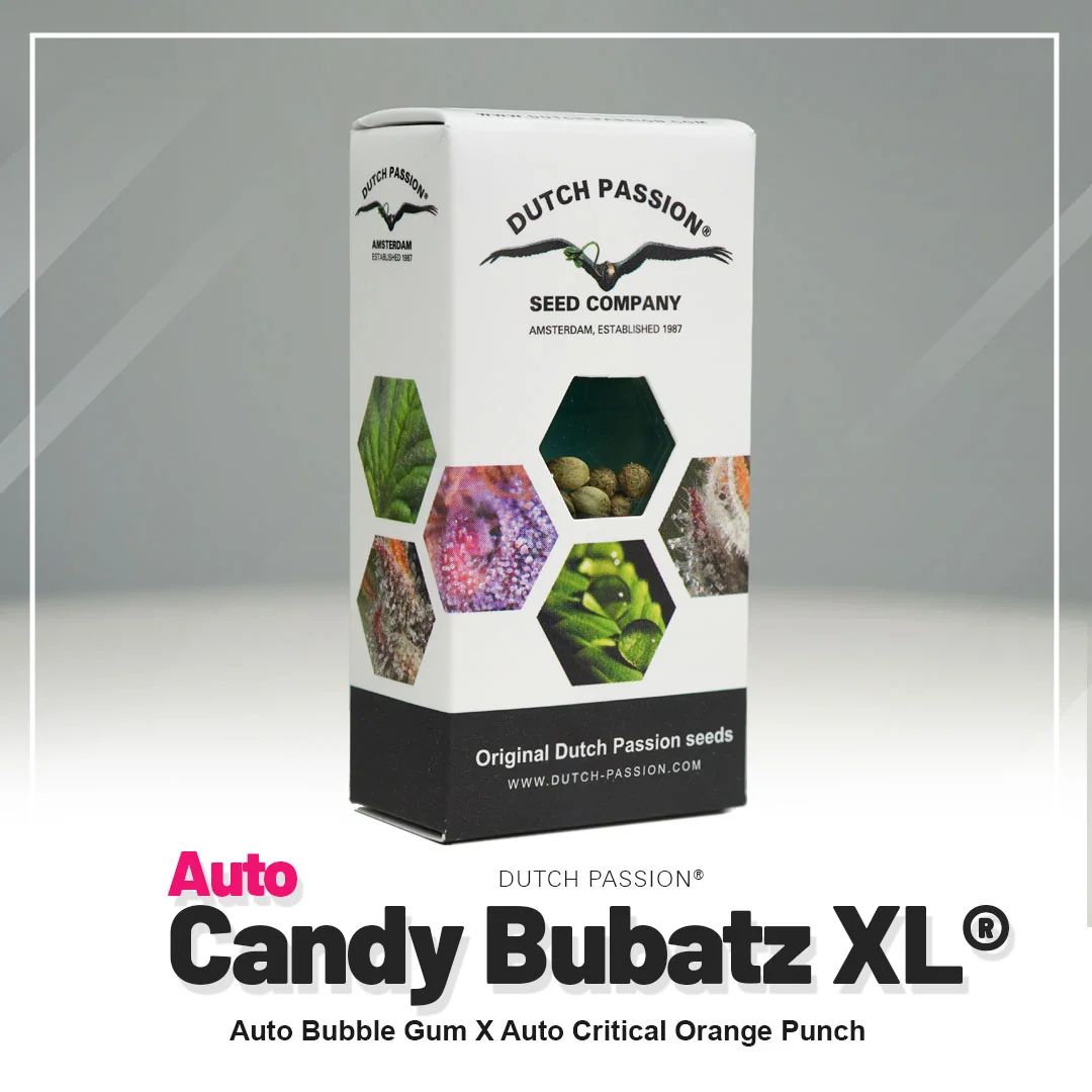 Candy Bubatz Xl