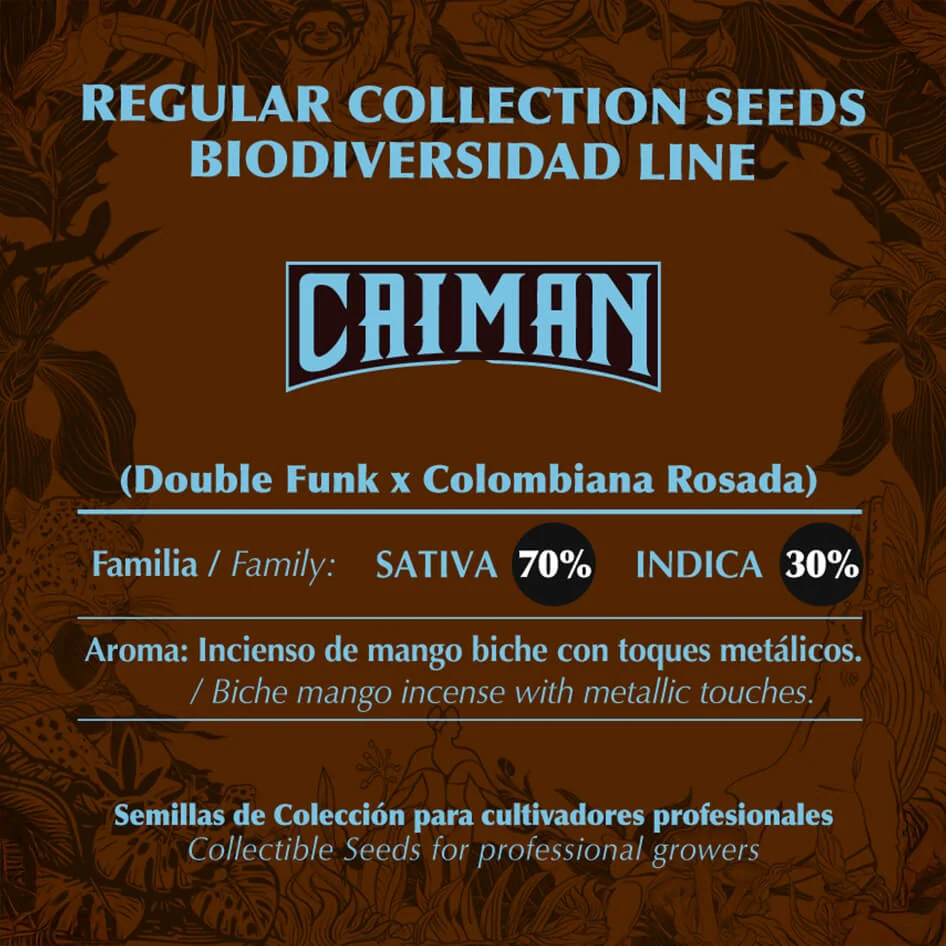 Caiman 2