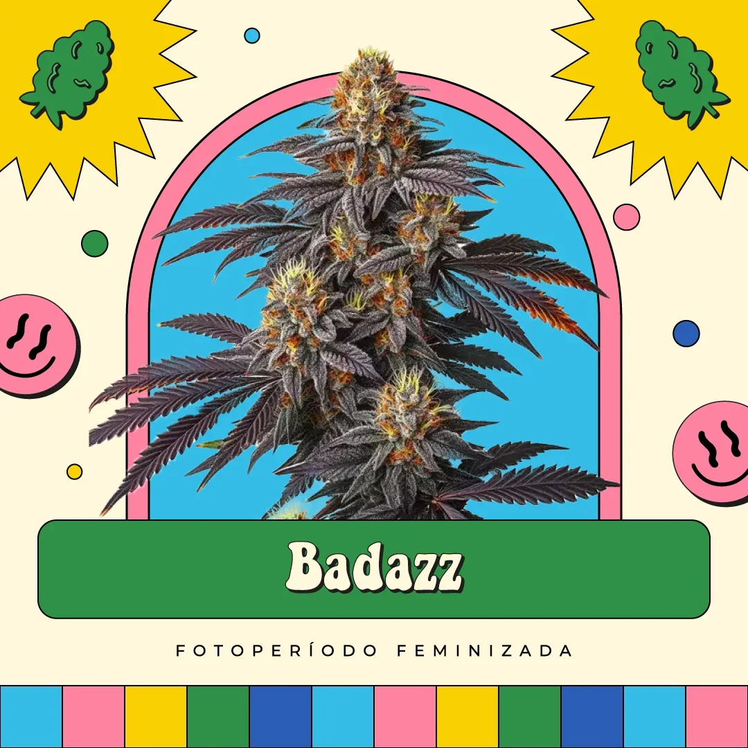 Badazz