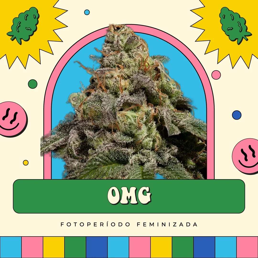 Omg
