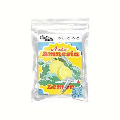 Amnesia Lemon 2
