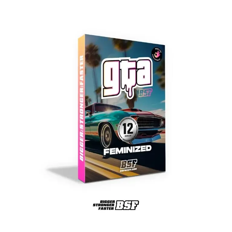 Gta Bsf 2