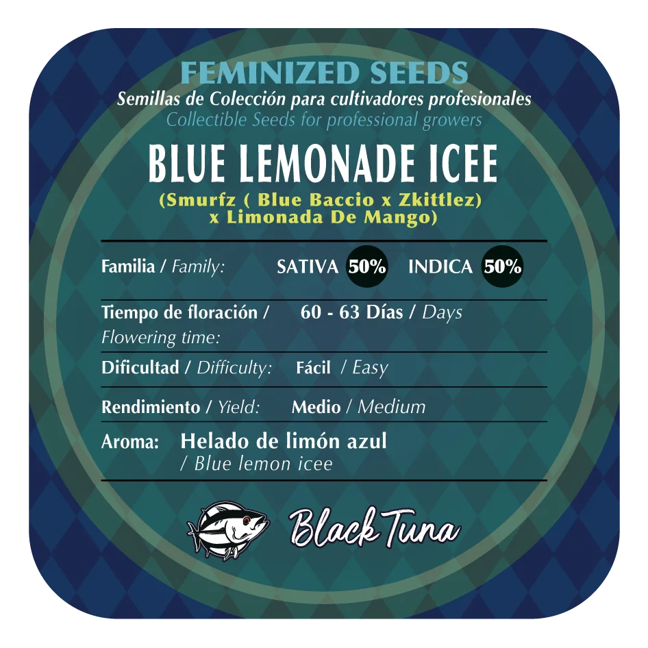 Blue Lemonade Icee 2