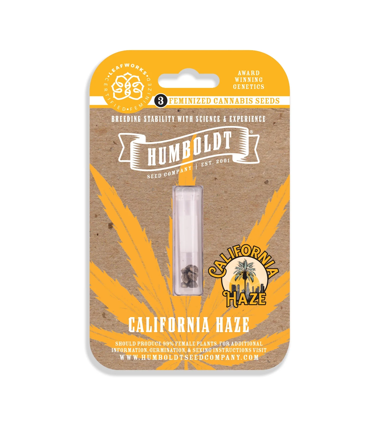 California Haze 2