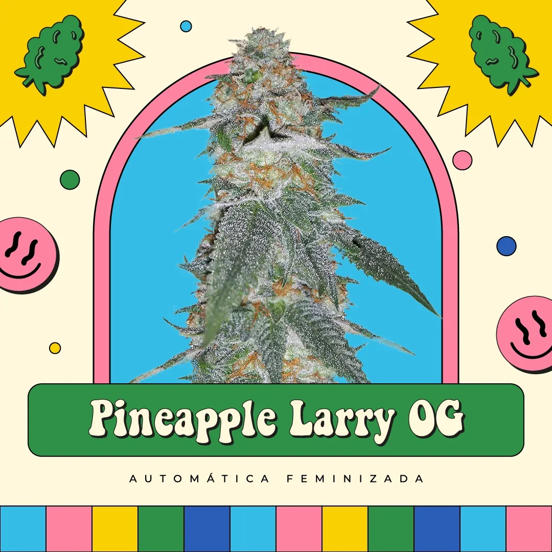 Pineapple Larry Og