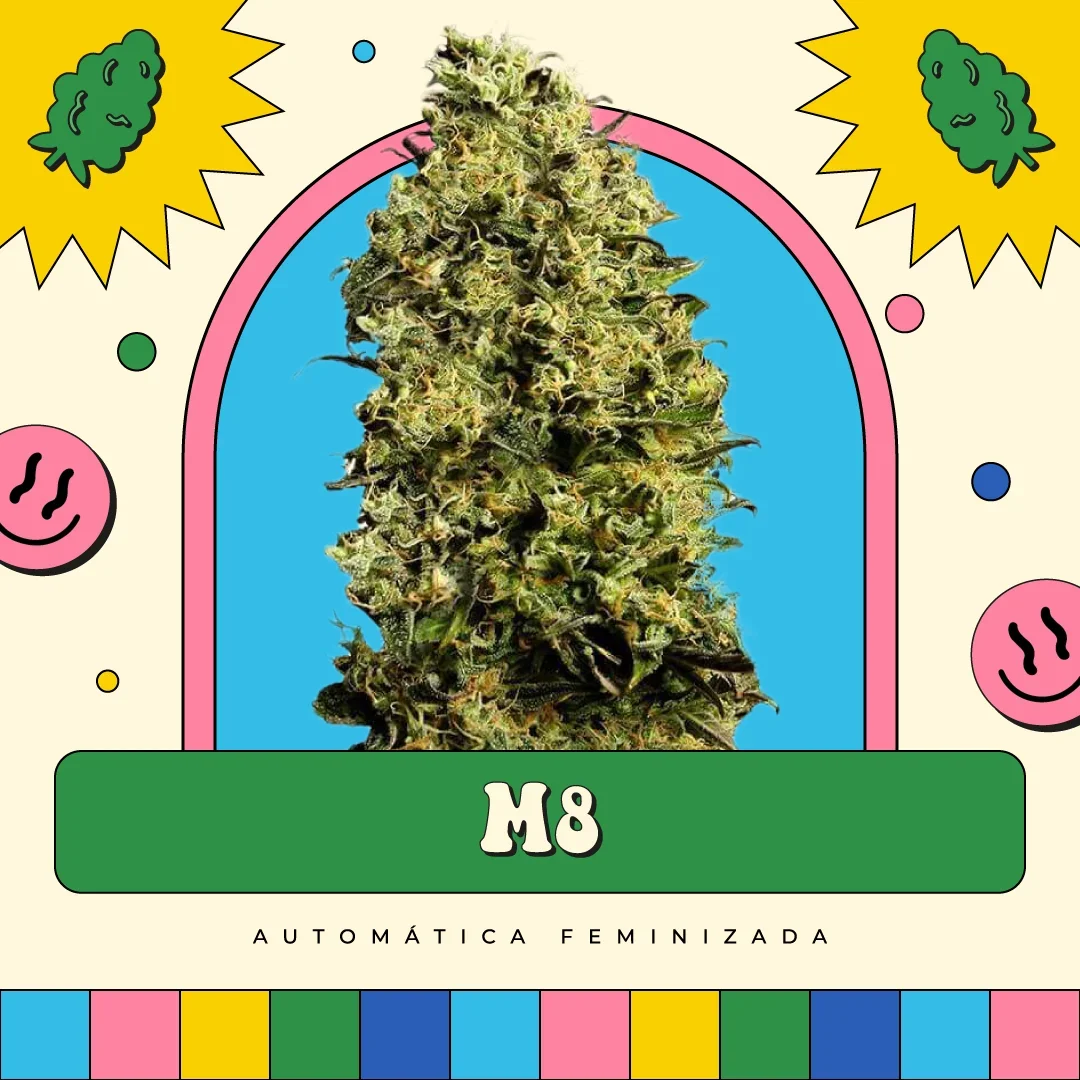 M8