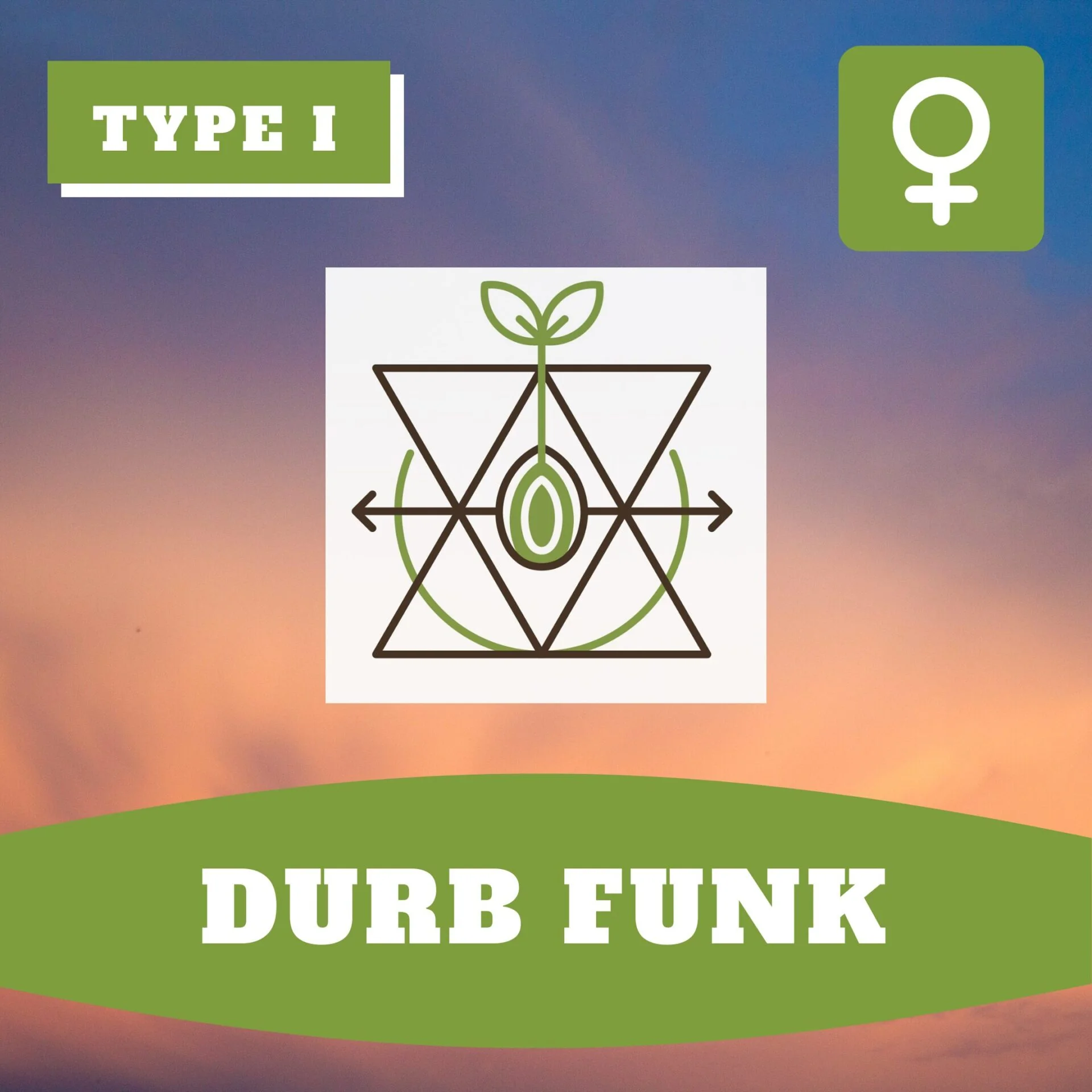 Durban Funk Thcv