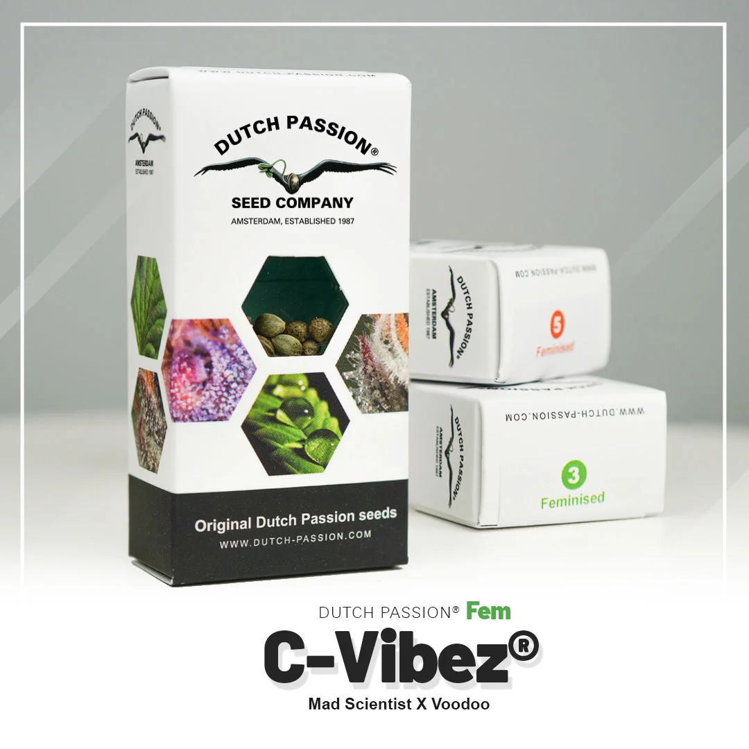 C Vibez