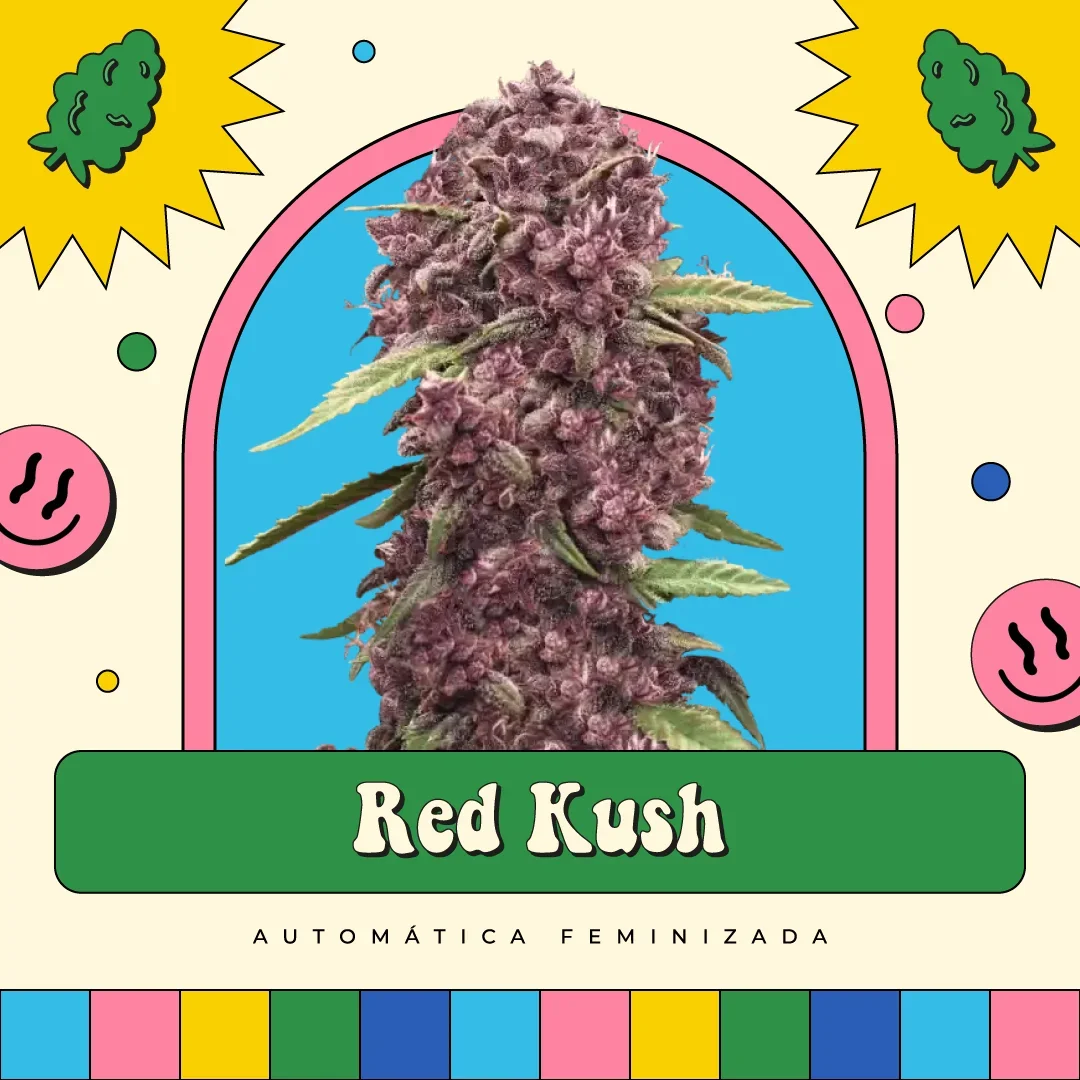 Red Kush