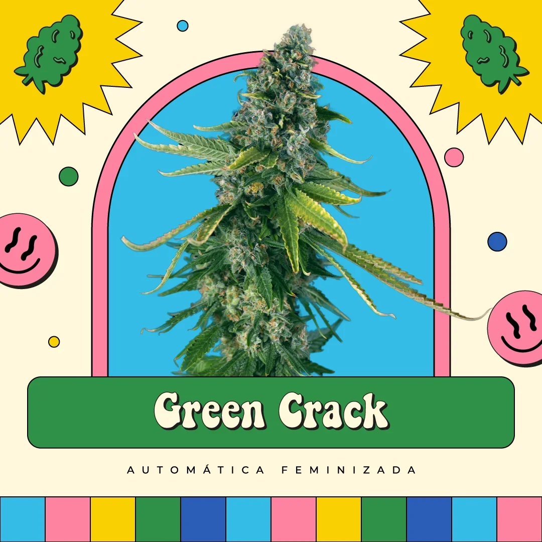 Green Crack