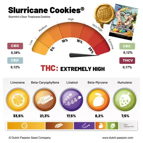 Slurricane Cookies 3