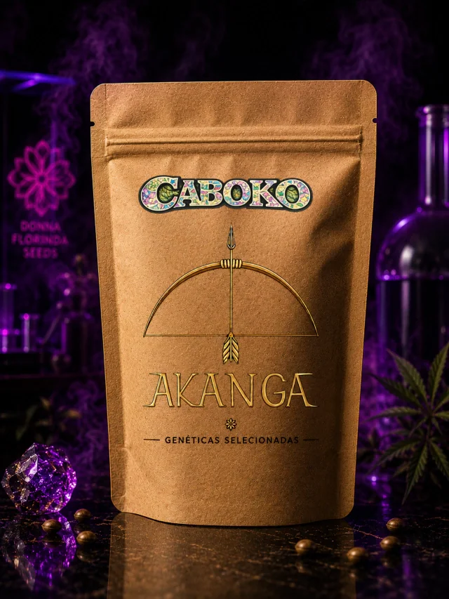 Kunky Do Sertao 2