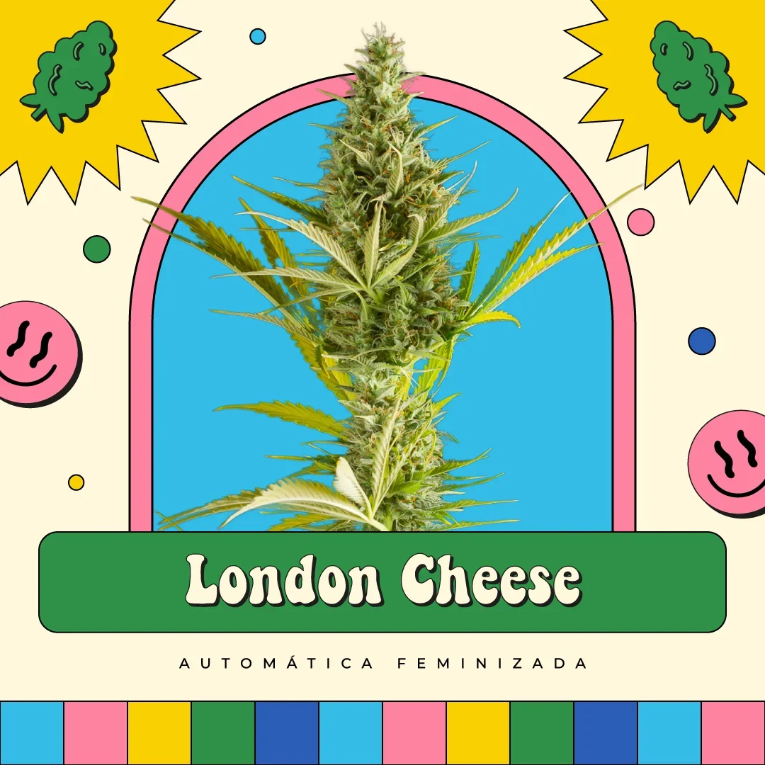 London Cheese