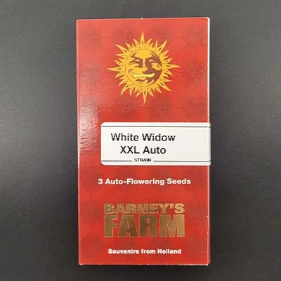 White Widow Xxl 3
