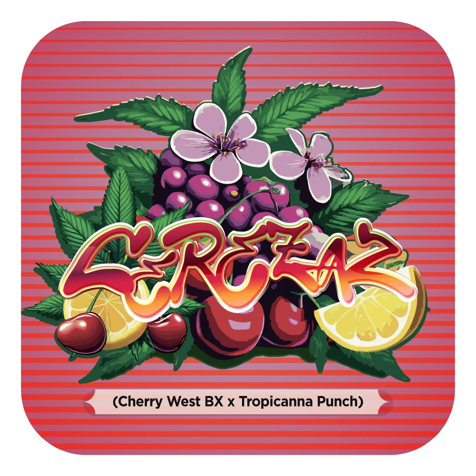 Cerezaz 5
