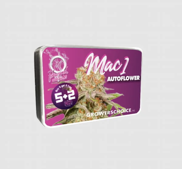 Mac 2