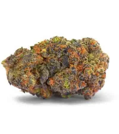 Gelato 33 5