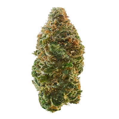Trainwreck 2
