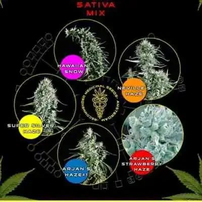 Sativa Mix