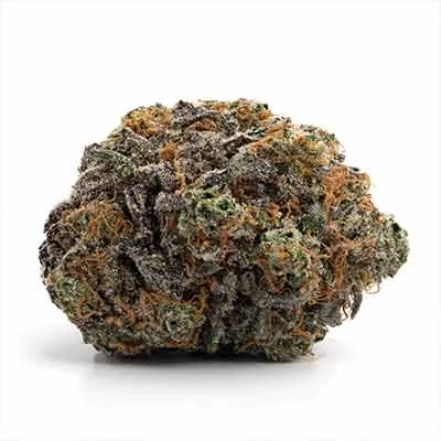 Bubblegum Gelato 2